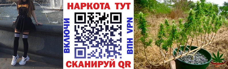 Магазины продажи наркотиков Зея ГАШ АМФ omg как войти Бошки Шишки Меф