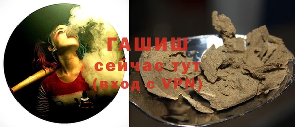 дмт Дмитров