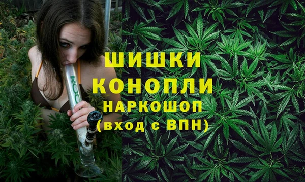дурь Алзамай