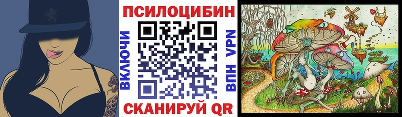 Псилоцибиновые грибы прущие грибы магазин продажи Зея
